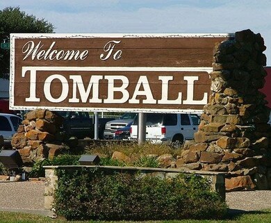 21106 Secret Garden Ln, Tomball, TX 77377 - photo 5