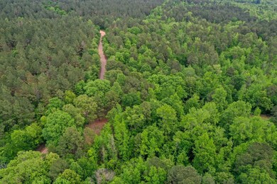 0000 Cantrell Rd, Amity, AR 71921 - photo 5