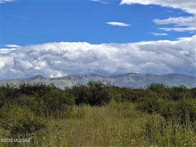 IMG_4122