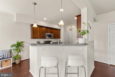 25230 Orchard View Terrace, Chantilly, VA 20152 - photo 4