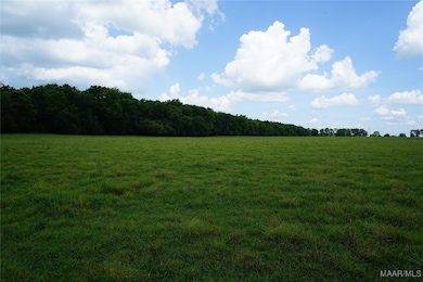 1105 Rittenour Rd, Grady, AL 36064 - photo 4