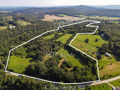 2359 E Gooseneck Rd, Sparta, TN 38583 - photo 3