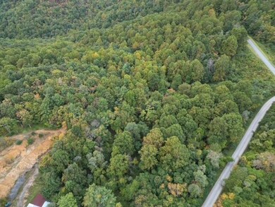 Wooded Acreage