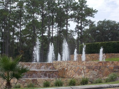 9701 N Langdon Rd, Citrus Springs, FL 34434 - photo 6