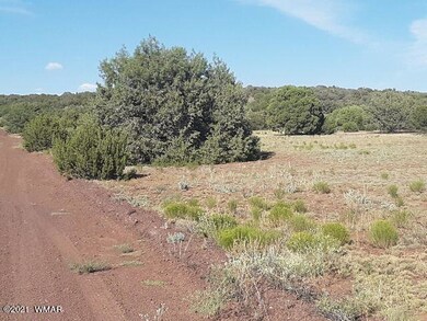 20200822030539493546000000-o