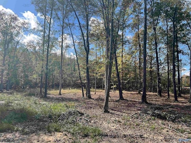 2050 Heritage Ln SW, Hartselle, AL 35640 - photo 4