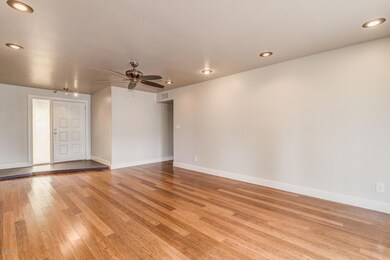 Shiny Floors