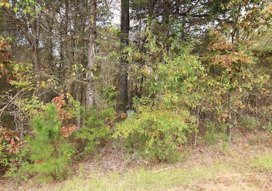 0 Harris Rd, Homer, LA 71040 - photo 5