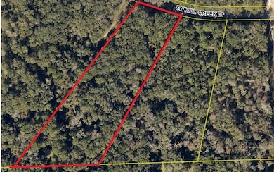 TBD SW Hill Creek Dr, Lake City, FL 32025 - photo 6