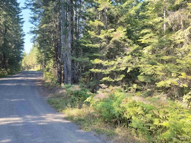 TBD Lacey Meadows Rd, Weippe, ID 83553 - photo 2