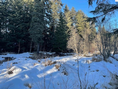 NKA Rapid Lightning Rd, Sandpoint, ID 83864 - photo 6