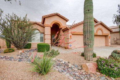 Lush Mature Landscaping