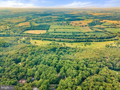 41 Laurel Ln, Bluemont, VA 20135 - photo 6