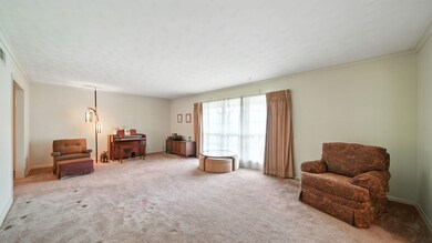 4433 Paula Dr, Memphis, TN 38116 - photo 5