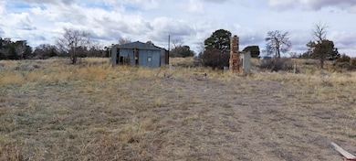 51981 Highway 491 Hwy, Cahone, CO 81320 - photo 3