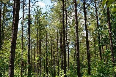 005 Vesuvius Furnace Rd unit 5, Ironton Township, NC 28080 - photo 2