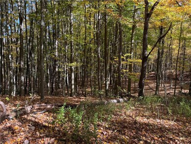 0 Eelpot Rd unit R1642565, Naples, NY 14512 - photo 7