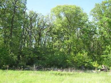 9301 Clark Rd, Crown Point, IN 46307 - photo 4