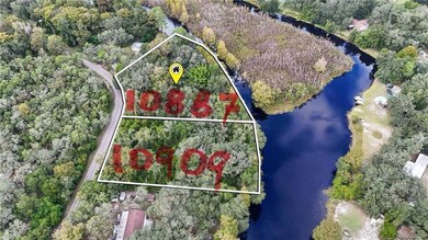 unlisted-address, Floral City, FL 34436 - photo 4