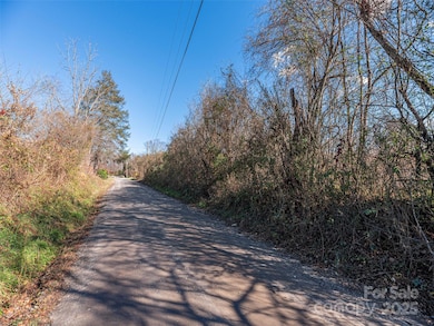 000 Calhoun Rd, Waynesville, NC 28786 - photo 3