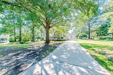 Driveway view from White Street