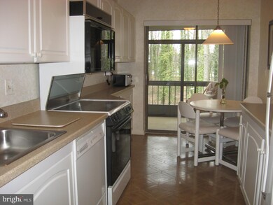 Heather Ridge unit 308, Baltimore, MD 21209 - photo 5