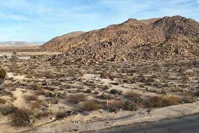 6981 Alturas Dr, Joshua Tree, CA 92252 - photo 3