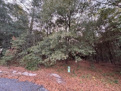 Lot 32 Marie Ln, Bainbridge, GA 39817 - photo 6