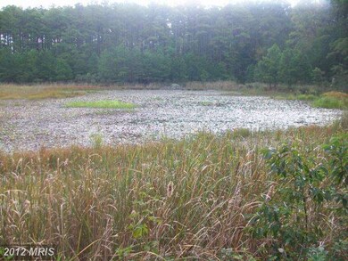 2213 Andrews Rd, Crapo, MD 21626 - photo 4