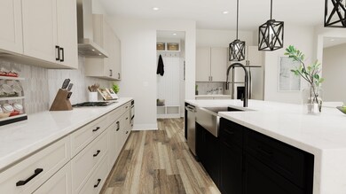 Actusl Design selections