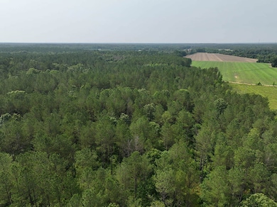 Ms-46, Mantee, MS 39751 - photo 6