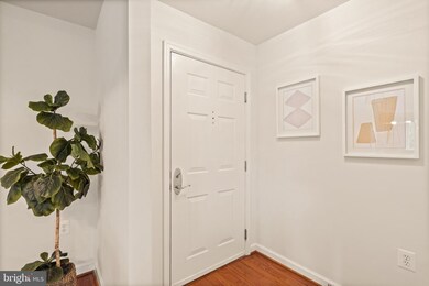 4081 S Four Mile Run Dr unit 304, Arlington, VA 22204 - photo 3