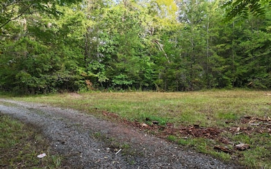 LOT 8 Murphy Ln, Mineral Bluff, GA 30559 - photo 3