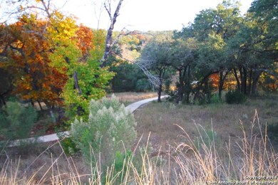 19219 Terra Rock, San Antonio, TX 78255 - photo 7