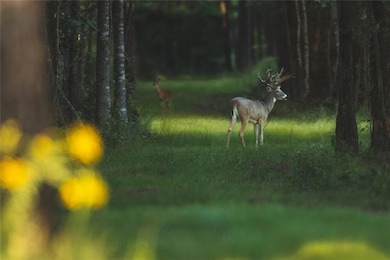 18618 Us Highway 43, Linden, AL 36748 - photo 6