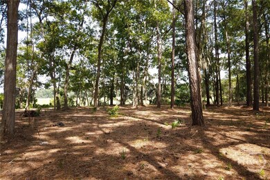 2061 Belle Island Rd, Richmond Hill, GA 31324 - photo 5