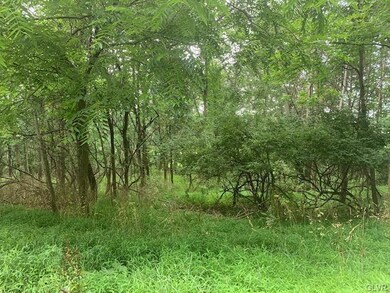 6586 Pa Route 873, Slatington, PA 18080 - photo 7