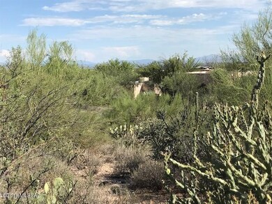 Bury yourself in vegetation