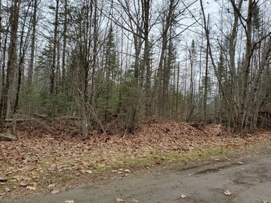 lot 7-B Johnson Flat Rd, Pittsfield, ME 04930 - photo 4