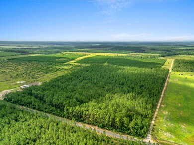 3-web-or-mls-DJI_0927