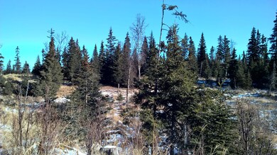 WP_20150313_12_17_42_Pro__highres.jpg