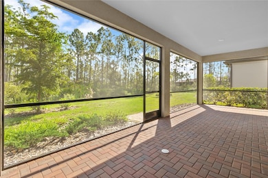 Back Patio Area