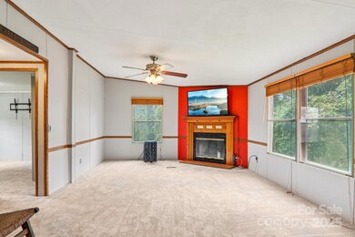 868 Hutch Mountain Rd, Fletcher, NC 28732 - photo 4