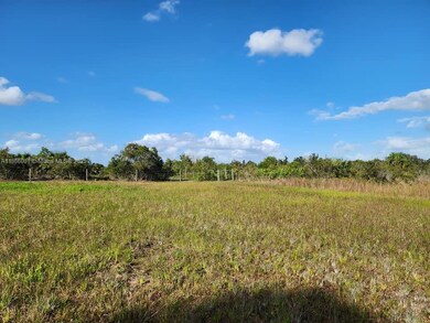 18717 NW 258 St, Okeechobee, FL 34972 - photo 5