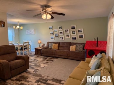 404 N Maple St, Christopher, IL 62822 - photo 4