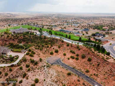 Lot 24 S Temple Cir, Snowflake, AZ 85937 - photo 4