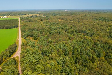 235.05 acres Boundary Rd, Hatley, WI 54471 - photo 4
