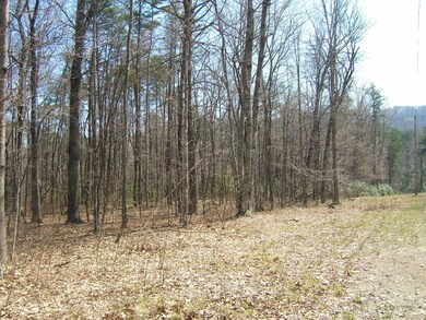 567 S and T Rd, Dunlap, TN 37327 - photo 5