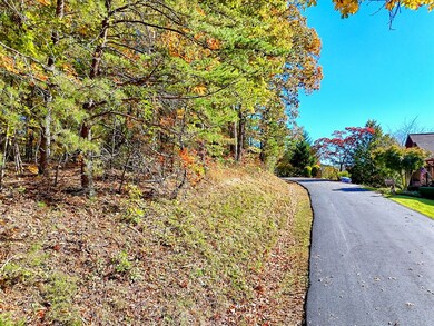 #20 Victoria Woods Cir, Hiawassee, GA 30546 - photo 3