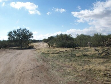 Lost Valley Loop Streetscape South
